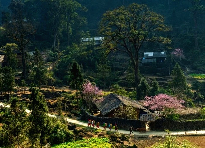 Cao nguyên đá Đồng Văn: Điểm đến văn hóa hàng đầu thế giới 2025