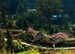 Cao nguyên đá Đồng Văn là 'Điểm đến văn hóa hàng đầu thế giới 2025'