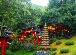 Chốn an yên dưới bóng cây trăm tuổi tại chùa Cây Thị, Ninh Bình