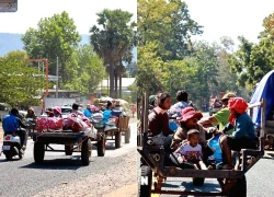 Cộng đồng quốc tế quan ngại về giao tranh biên giới Campuchia - Thái Lan