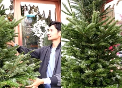 Đại gia Hà Nội chi hơn 100 triệu đồng mua thông tươi nhập khẩu đón Giáng sinh