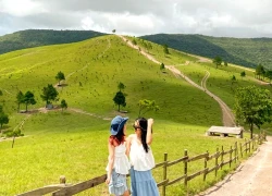 Đỉnh Phượng Hoàng: Khám phá mùa cỏ cháy ở 'Đà Lạt thu nhỏ'