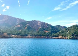 Góc chữa lành cho những tâm hồn xa xứ ở đất nước Mặt trời mọc