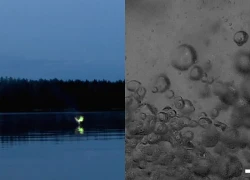 Hé lộ bí ẩn của hiện tượng &#8220;ma trơi&#8221;