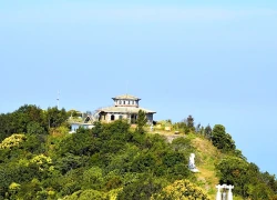 Khám phá Vườn di sản ASEAN, 'mái nhà chung' của nhiều loài động vật quý hiếm ở Huế