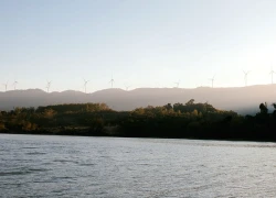 Khu rừng Quảng Trị có khung cảnh đẹp như trời Âu, hút khách tới check-in