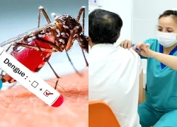 Kiểm soát dịch sốt xuất huyết bằng các biện pháp dự phòng