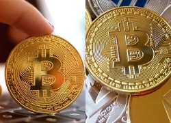 Lạm phát gia tăng, nhiều người Mỹ mong được tặng tiền điện tử dịp Giáng sinh