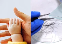 Mang tóc con đi xét nghiệm ADN, tôi rụng rời chân tay khi biết sự thật