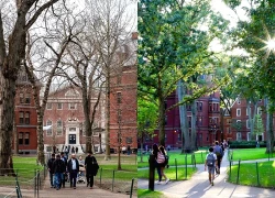 Mỹ thu hồi gấp đôi số thị thực so với năm ngoái