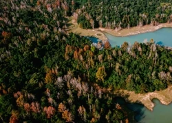 Rừng phong hương Quảng Trị: Khám phá mùa thu châu Âu tại Hướng Phùng