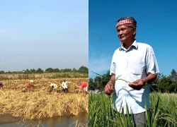 Sau gạo ngon nhất thế giới, Việt Nam sắp ra mắt gạo dược liệu ngừa bệnh tật