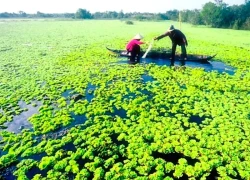 Sức hút miền sông nước Miền Tây Nam Bộ