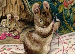 Tử vi 12 con giáp thứ Ba ngày 9/12/2025: Tài lộc vượng lên, nhiều con giáp bứt phá mạnh