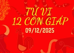 Tử vi hàng ngày của 12 cung hoàng đạo thứ Ba, ngày 09/12/2025: Kim Ngưu hiếu chiến, Bọ Cạp "liêm"