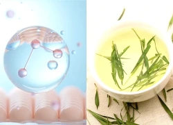 5 thảo dược kích thích cơ thể tăng sản sinh collagen