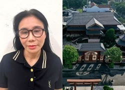 Vụ Mailisa cho thấy tính chất phức tạp của tội phạm kinh tế khu vực tư