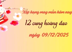 Xếp hạng may mắn tử vi 12 cung hoàng đạo ngày 09/12/2025: Cung Sư Tử được may mắn ưu ái