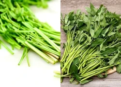 2 loại rau &#8216;khoái khẩu&#8217; mùa lạnh dễ thành ổ sán, đứng đầu bảng ngoài chợ bán đầy