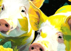 4 con giáp càng bớt so sánh càng dễ sống giàu sang, đủ đầy