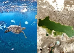 Biển Chết hình thành 'kho lưu trữ tự nhiên' về ô nhiễm nhựa
