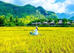 "Chạy trốn" cuối năm, đi tìm khoảng lặng sau một năm bộn bề