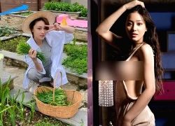 Cuộc sống mới bình yên của Trương Hinh Dư sau nhiều ồn ào