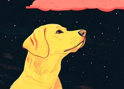 Đúng 20h hôm nay, ngày 12/12/2025, 3 con giáp lộc bất tận hưởng, tài vận khai thông, đón phúc khí nhân đôi, sung túc không ai bằng