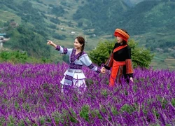 Fansipan lập kỷ lục 6 lần liên tiếp là 'Điểm du lịch có thắng cảnh thiên nhiên hàng đầu thế giới'