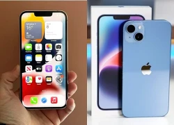 iPhone 13 và 14: Lựa chọn giá tốt chính hãng tại Việt Nam