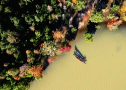 Khe Sanh: Trải nghiệm trekking săn mùa lá phong đỏ độc đáo