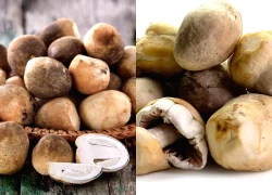 Không chỉ ngon, nấm rơm còn mang đến loạt lợi ích khiến bạn muốn ăn mỗi ngày