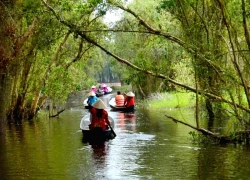 Làng nổi Tân Lập: Lạc bước trên con đường xuyên rừng tràm