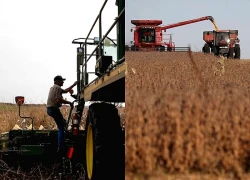 Mỹ công bố gói cứu trợ 12 tỷ USD cho nông dân