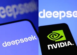 Nvidia phản hồi tin đồn DeepSeek dùng chip Blackwell nhập lậu phát triển mô hình AI
