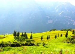 Thảo nguyên Suôi Thầu - Nơi mùa hoa gọi về miền núi đất