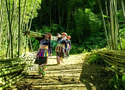 Thượng Minh - Vẻ đẹp nguyên sơ giữa miền sơn cước Thái Nguyên