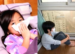 Vì sao không khí trong nhà cũng ô nhiễm và cách cải thiện