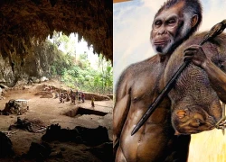 Vì sao loài người từng sống song song chúng ta ở Indonesia biến mất?