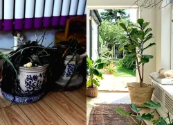 5 dấu hiệu nhận biết ngôi nhà nặng tà khí, cần hóa giải