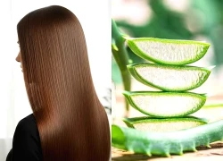 7 bí quyết đơn giản tại nhà cho mái tóc suôn mượt, óng ả