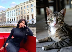 ABG Tina gây sốc với lùm xùm "từ chối trả viện phí mèo hoang" khiến MXH dậy sóng