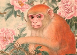 Đúng 20h hôm nay, ngày 13/12/2025, 3 con giáp này tài khí tràn vào nhà, tiền của nhiều vô kể, dễ đổi đời thành Tỷ Phú, sống trong giàu sang