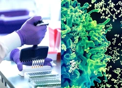 Chìa khóa phòng ngừa HPV: Tiêm chủng, tầm soát và điều trị kịp thời