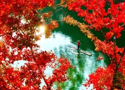 Hồ Bản Viết: Sắc lá phong rực rỡ mùa đông ở Cao Bằng