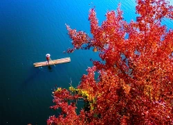 Hồ nhân tạo ở Cao Bằng rực rỡ như trời Âu mùa phong hương thay lá