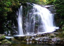 Khám phá 'kho báu' giúp Vườn quốc gia Bạch Mã thành Di sản ASEAN