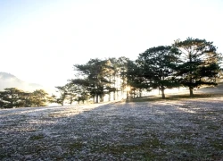 Khách Việt vẫn 'loanh quanh' Phú Quốc, Đà Lạt dịp Tết dương