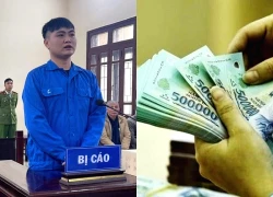 Lừa góp vốn mua gỗ để chiếm đoạt 335 triệu đồng