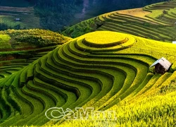 Những ruộng bậc thang đẹp nhất giữa đại ngàn Tây Bắc